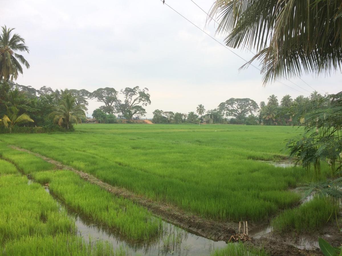 Hotel View Point Tissamaharama Bilik gambar